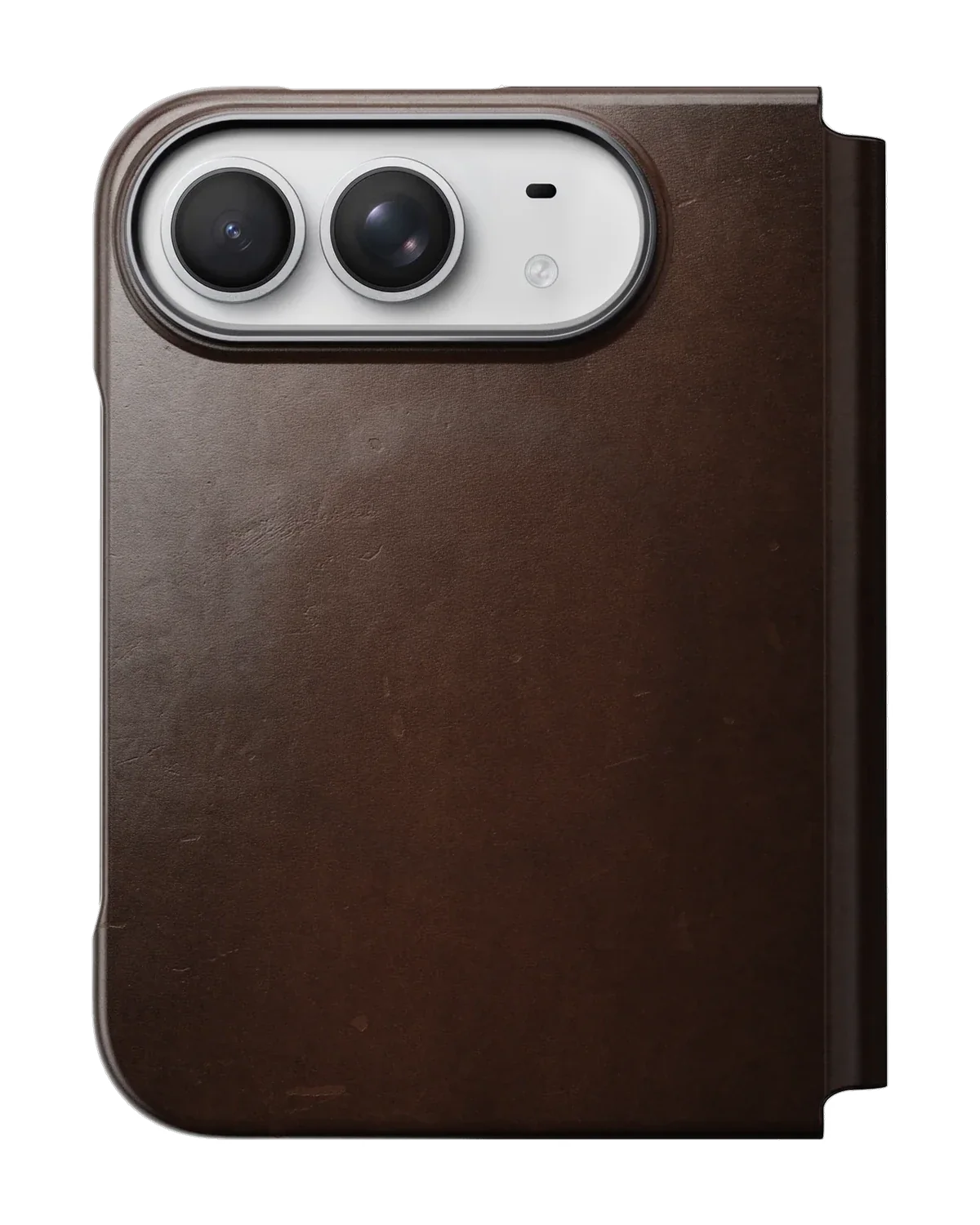 Leather Folio after a hundred days